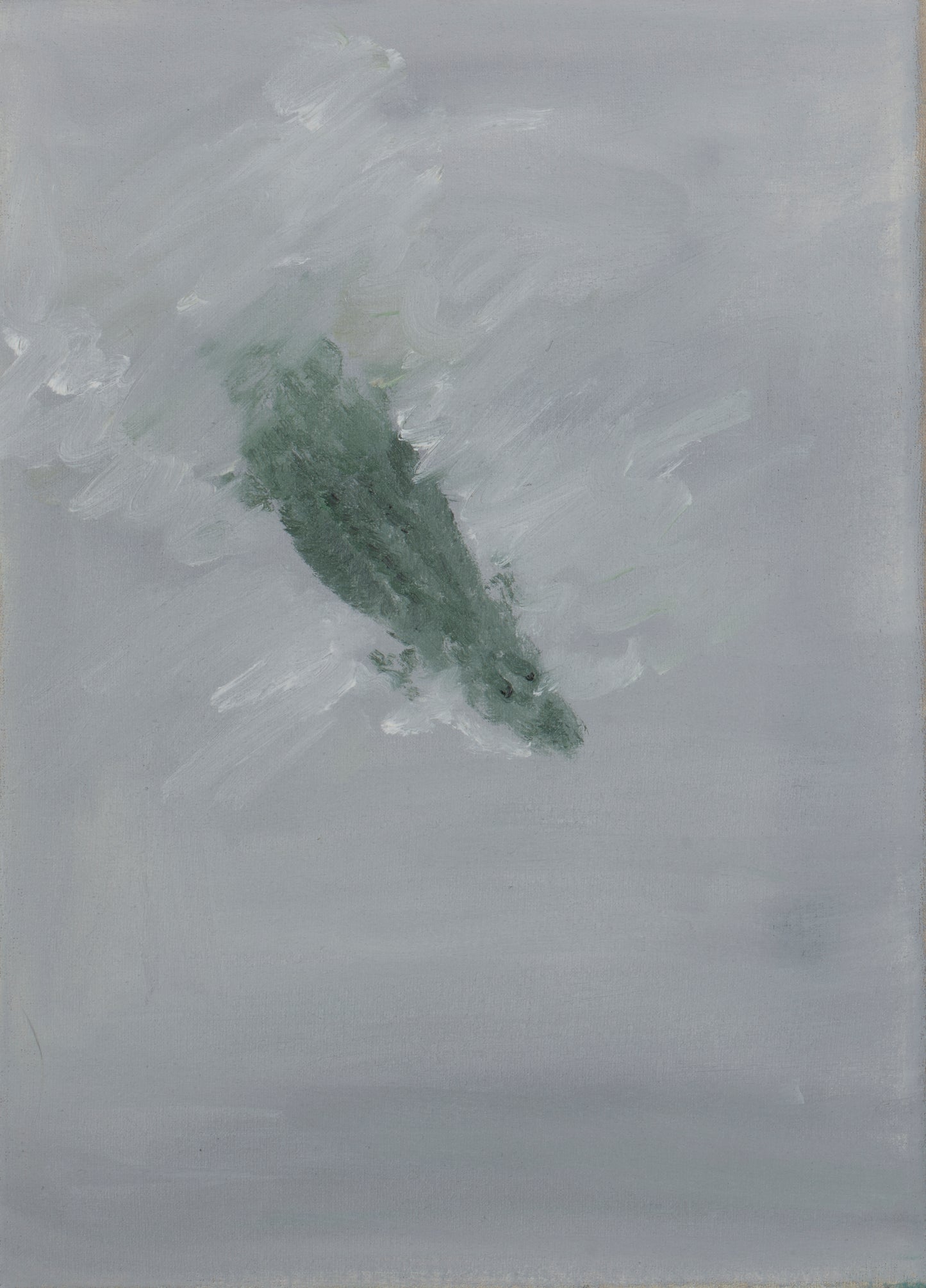 Crocodile