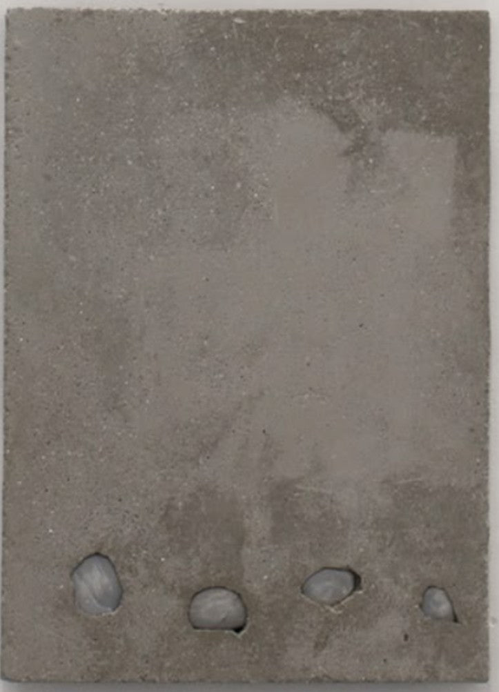 Remnant 34