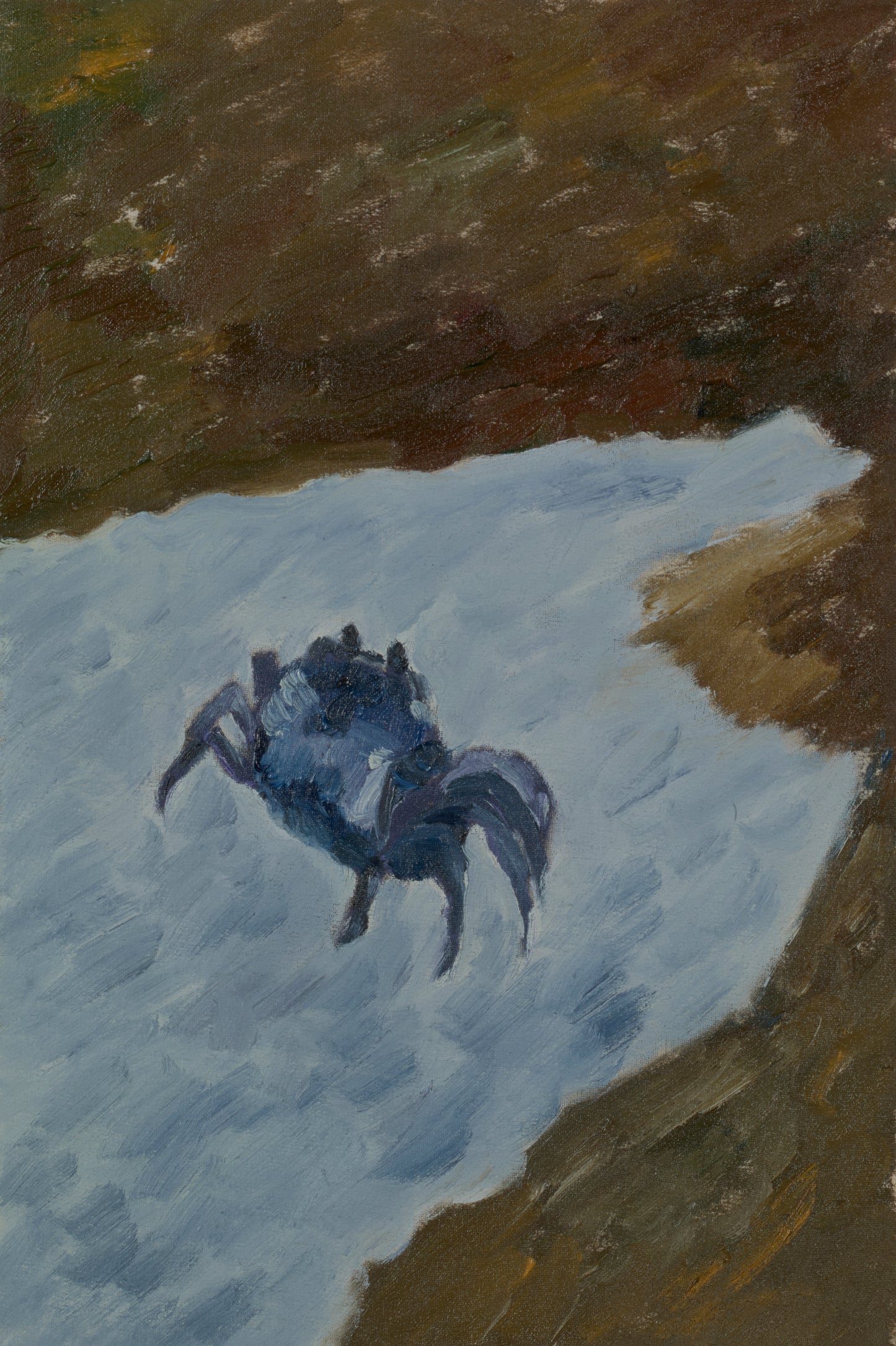 Crab