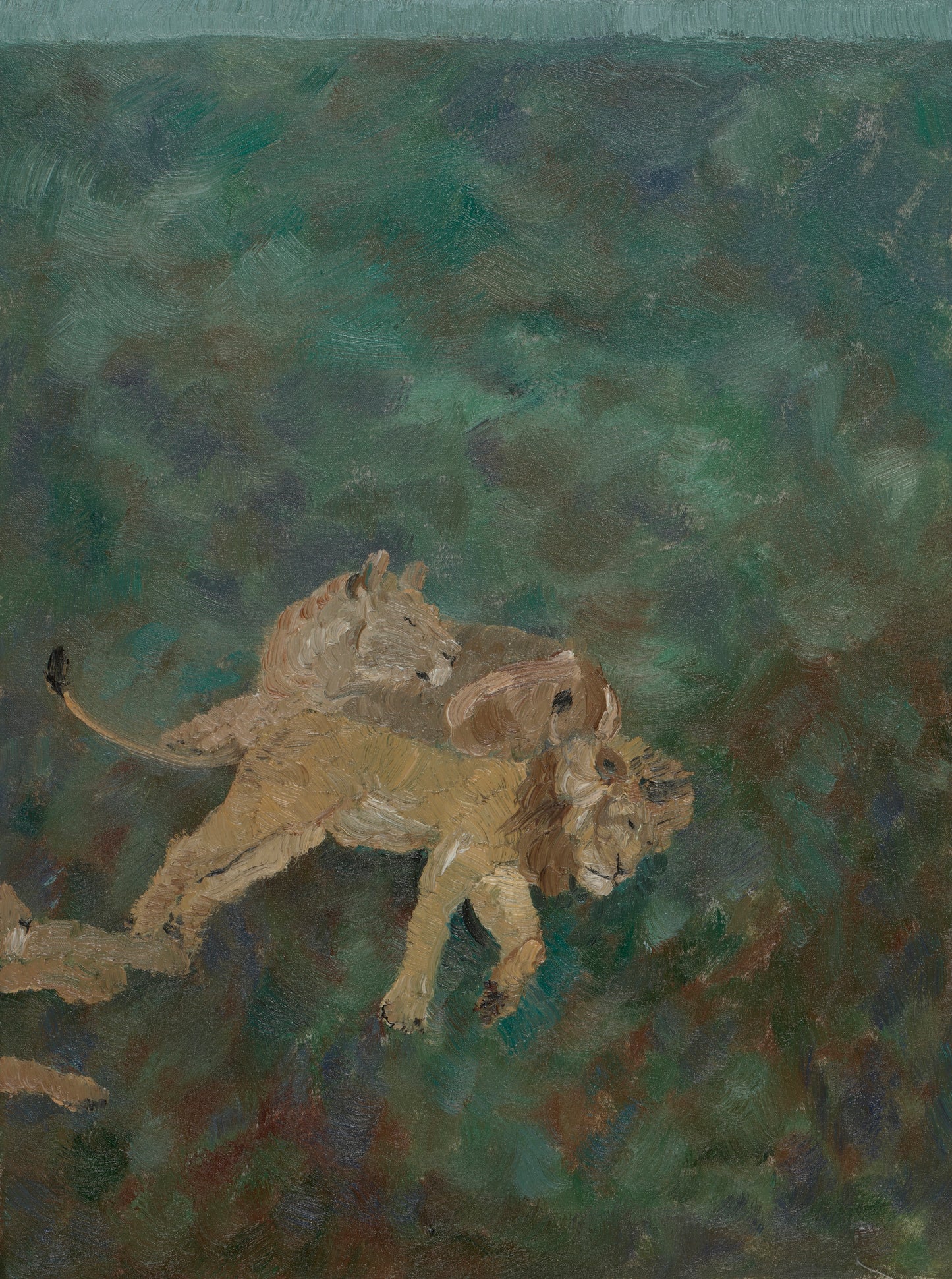 The lion couple