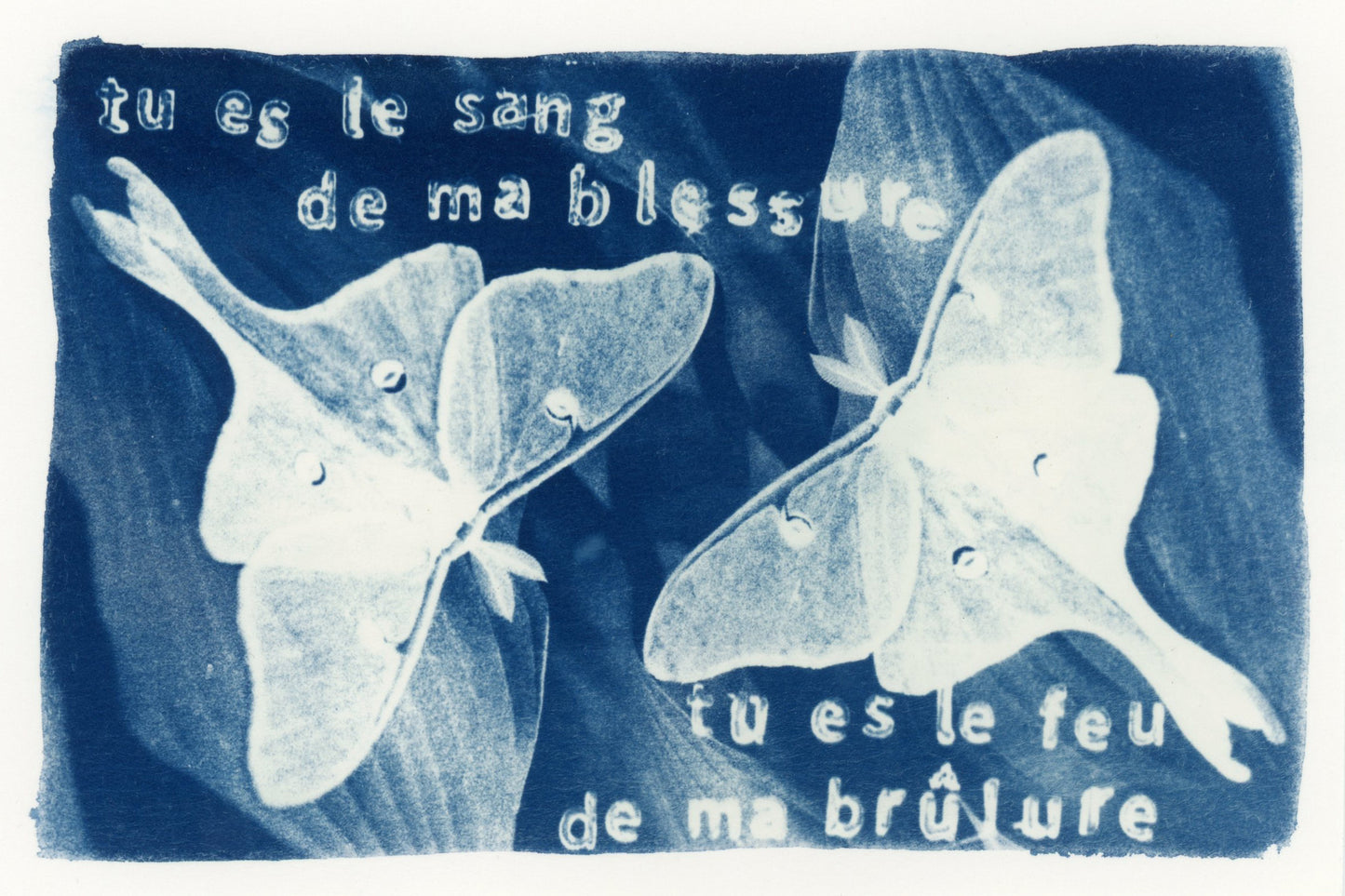 Celeste Humphrey — Correspondances #1 — original postcard artwork