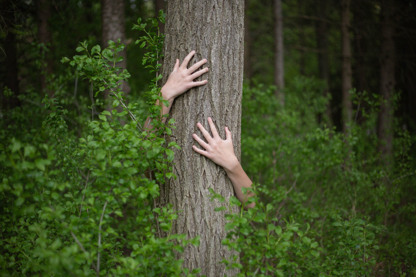 Elizabeth Lynch — Correspondances #2 — original postcard artwork
