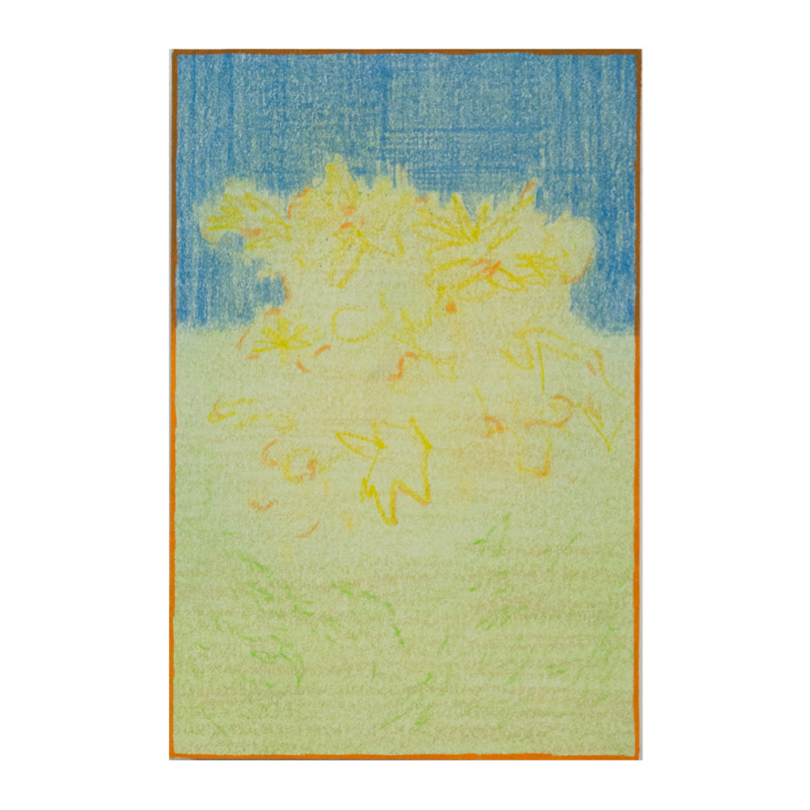 Untitled #45