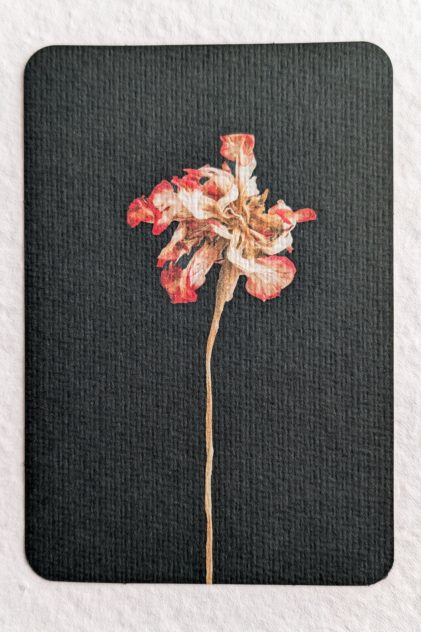 Sandra Kip — Correspondances #1 — original postcard artwork