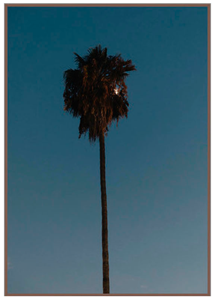 SUNSET MOON, SILVER LAKE, AUGUST 2022
