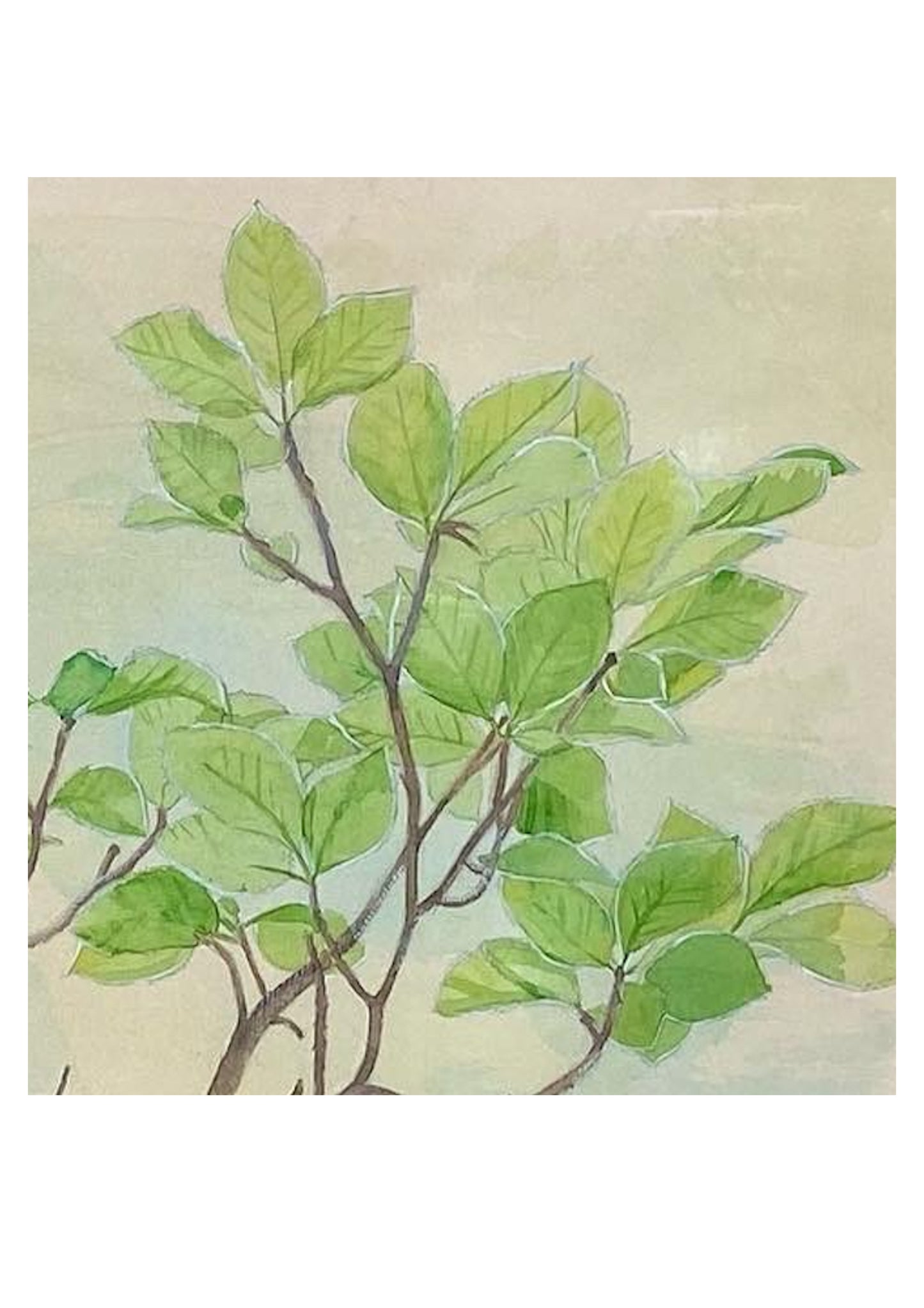 Branch