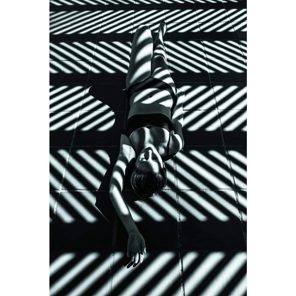 30 degrees in the shade - The Curators