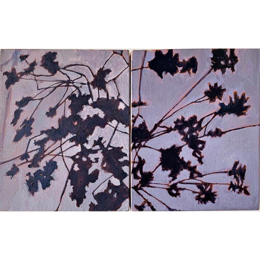 Flores Negras