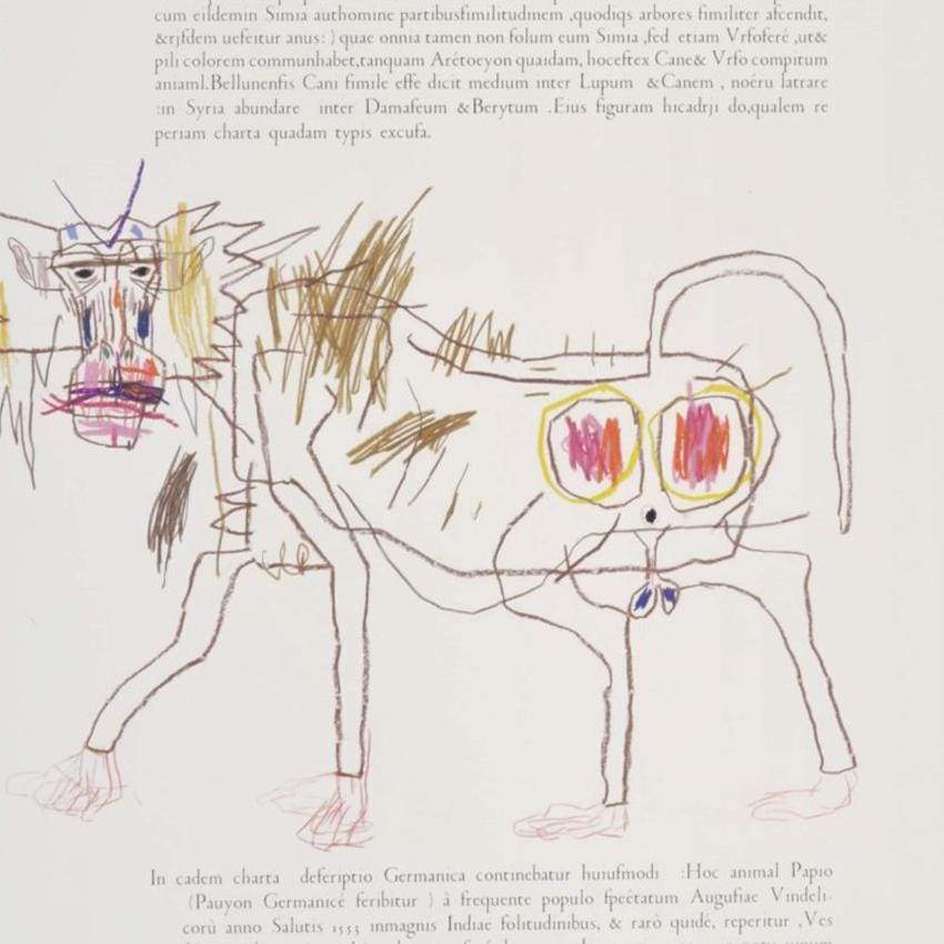A Supernatural history of sciences (baboon) - The Curators