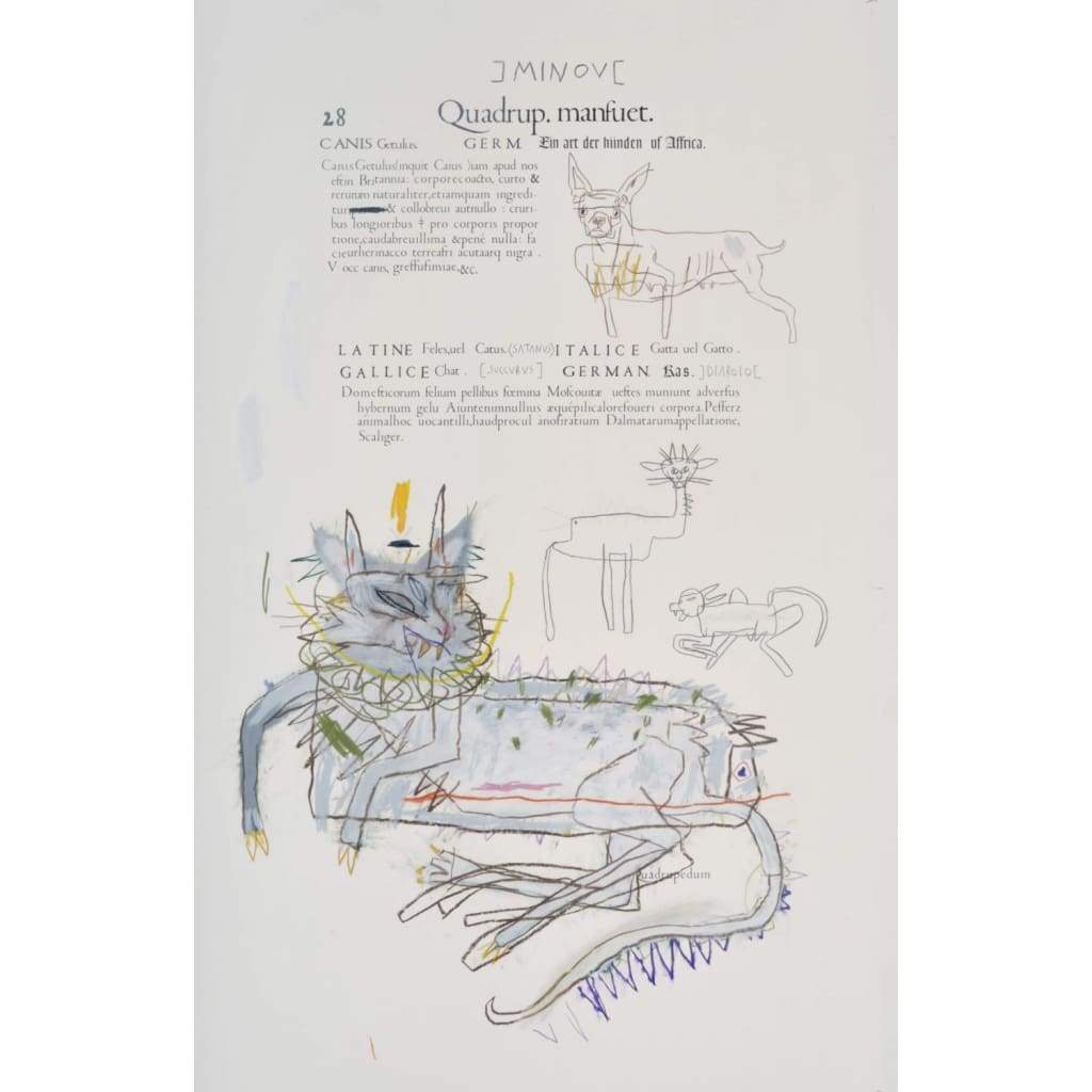 A supernatural history of sciences (cat) - The Curators