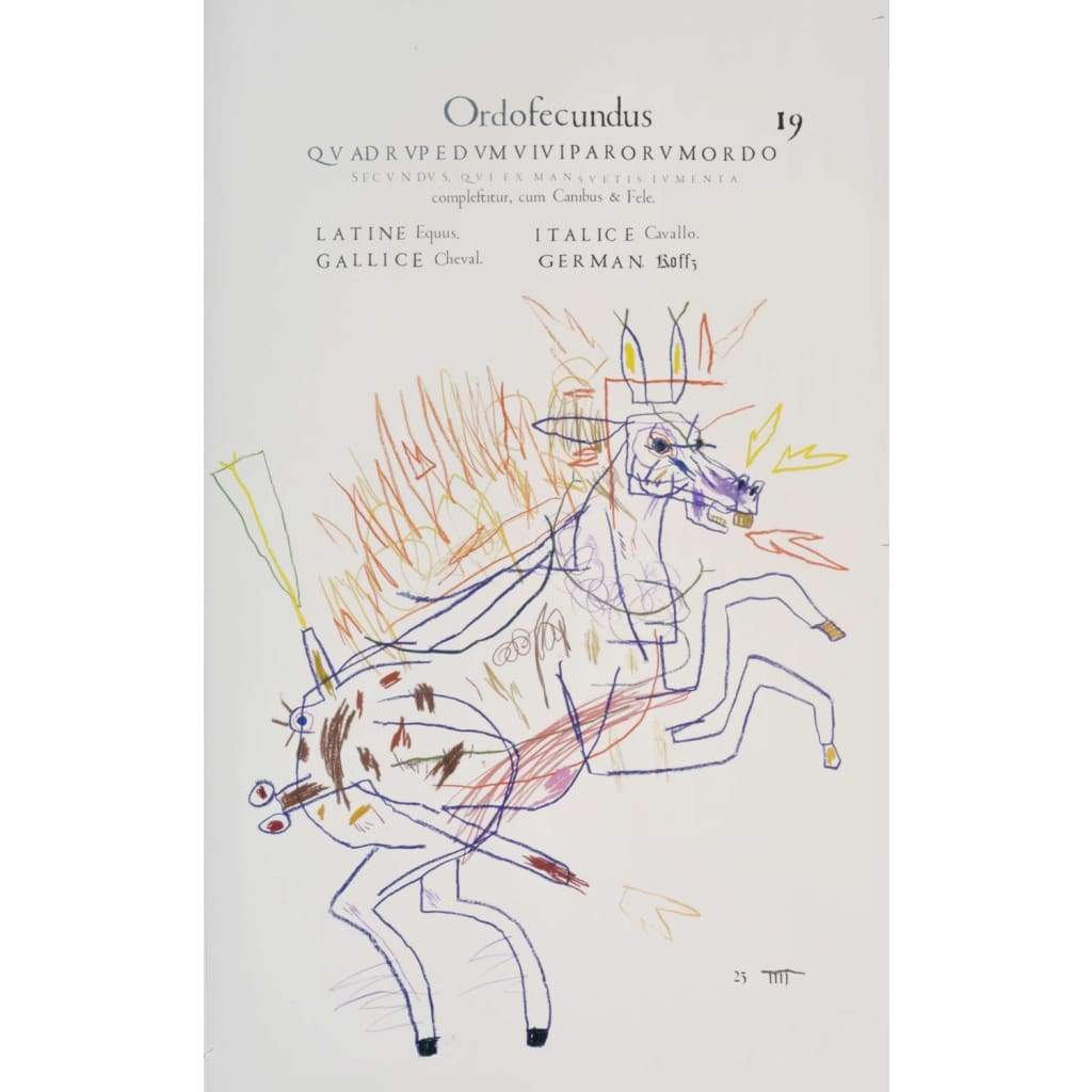 A supernatural history of sciences (horse) - The Curators