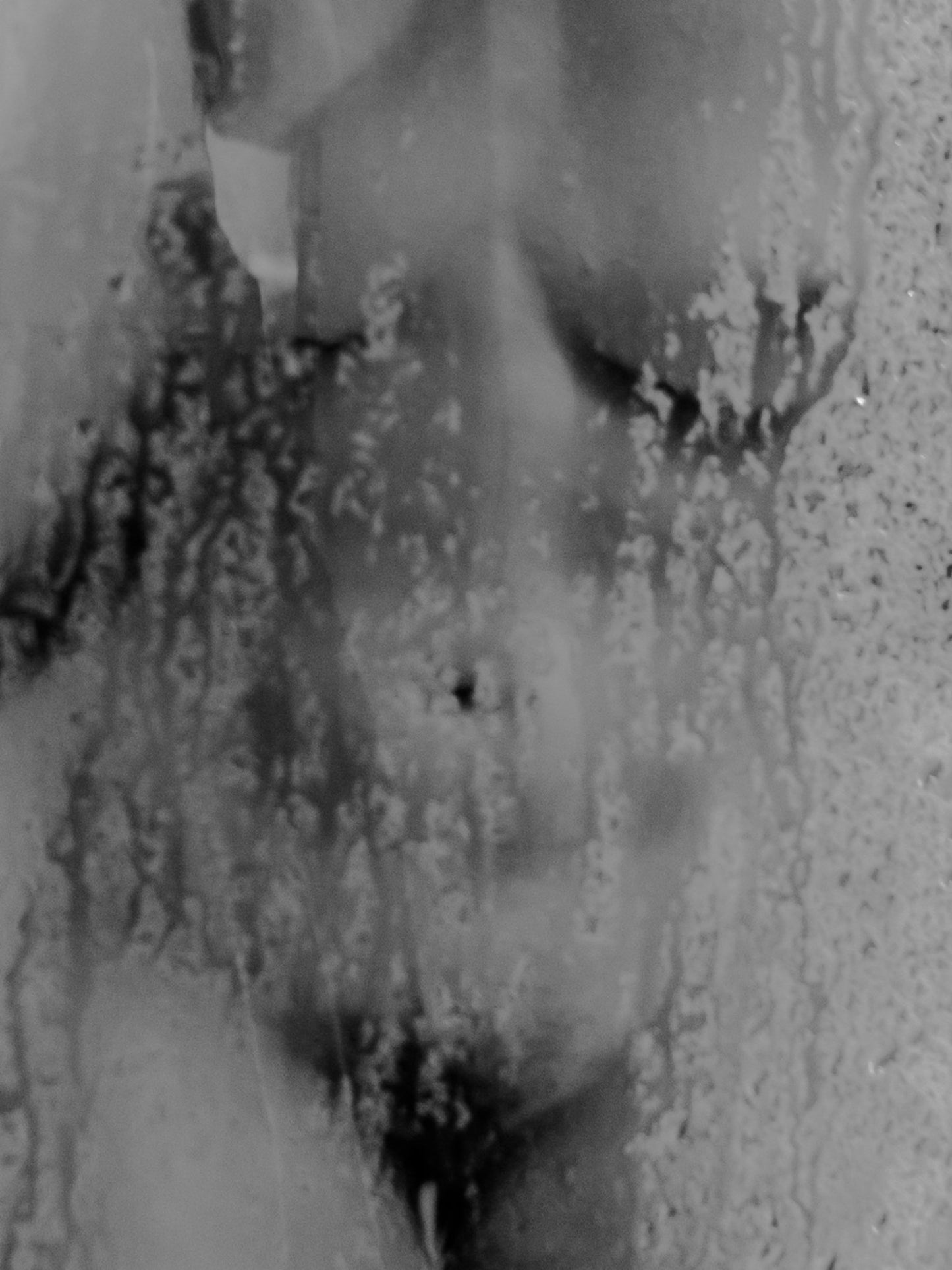 Beata and a Water Vapor - The Curators