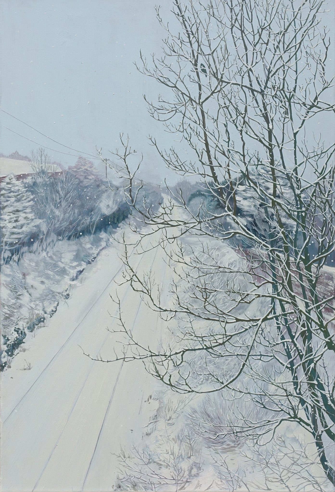 Castle street bridge - Claire Cansick - The Curators