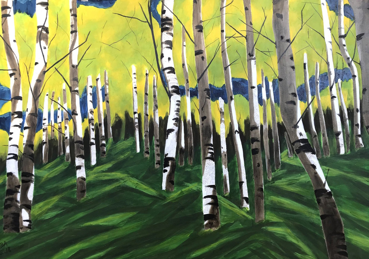Forêt de bouleaux (Birch forest) - The Curators