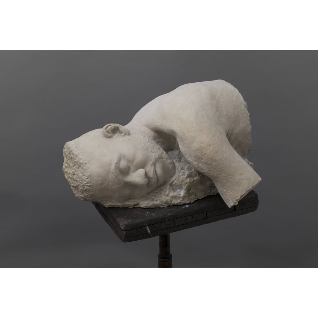 Lynceus - The Curators