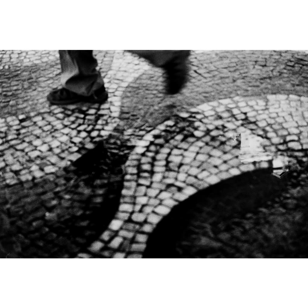 Miscellaneous 30 - The Curators