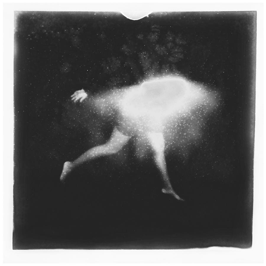 Polaroid untitled, III - The Curators