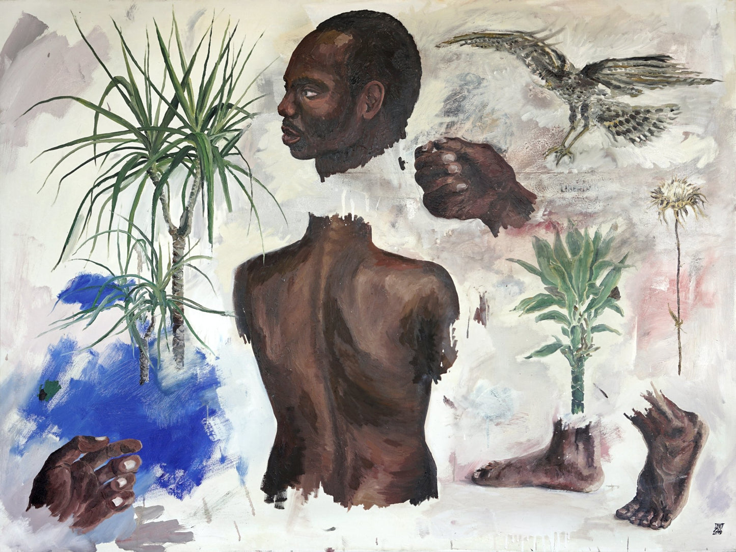 Quando fui para liberdade - The Curators
