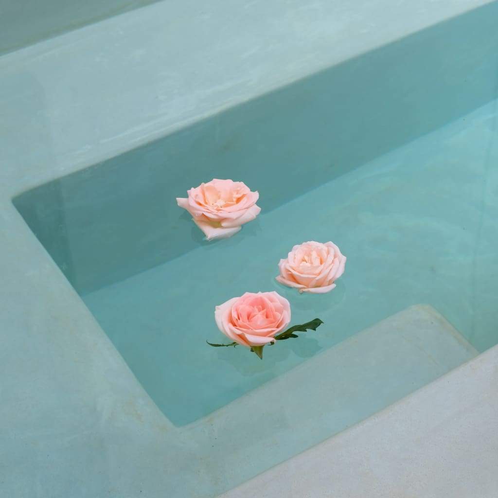 Roses - The Curators