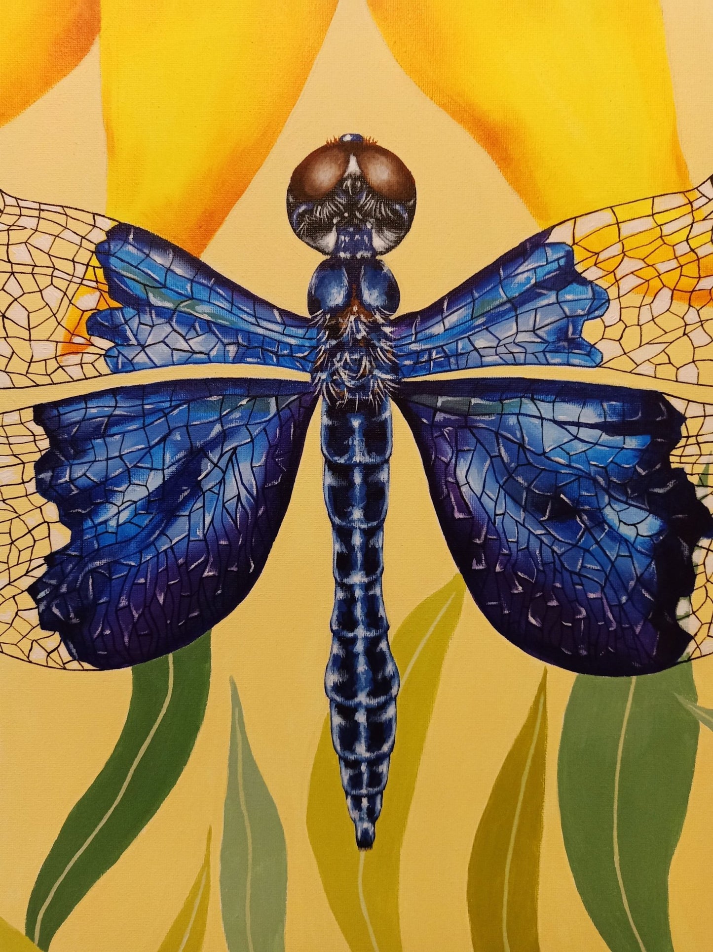 Sapphire Flutterer - The Curators