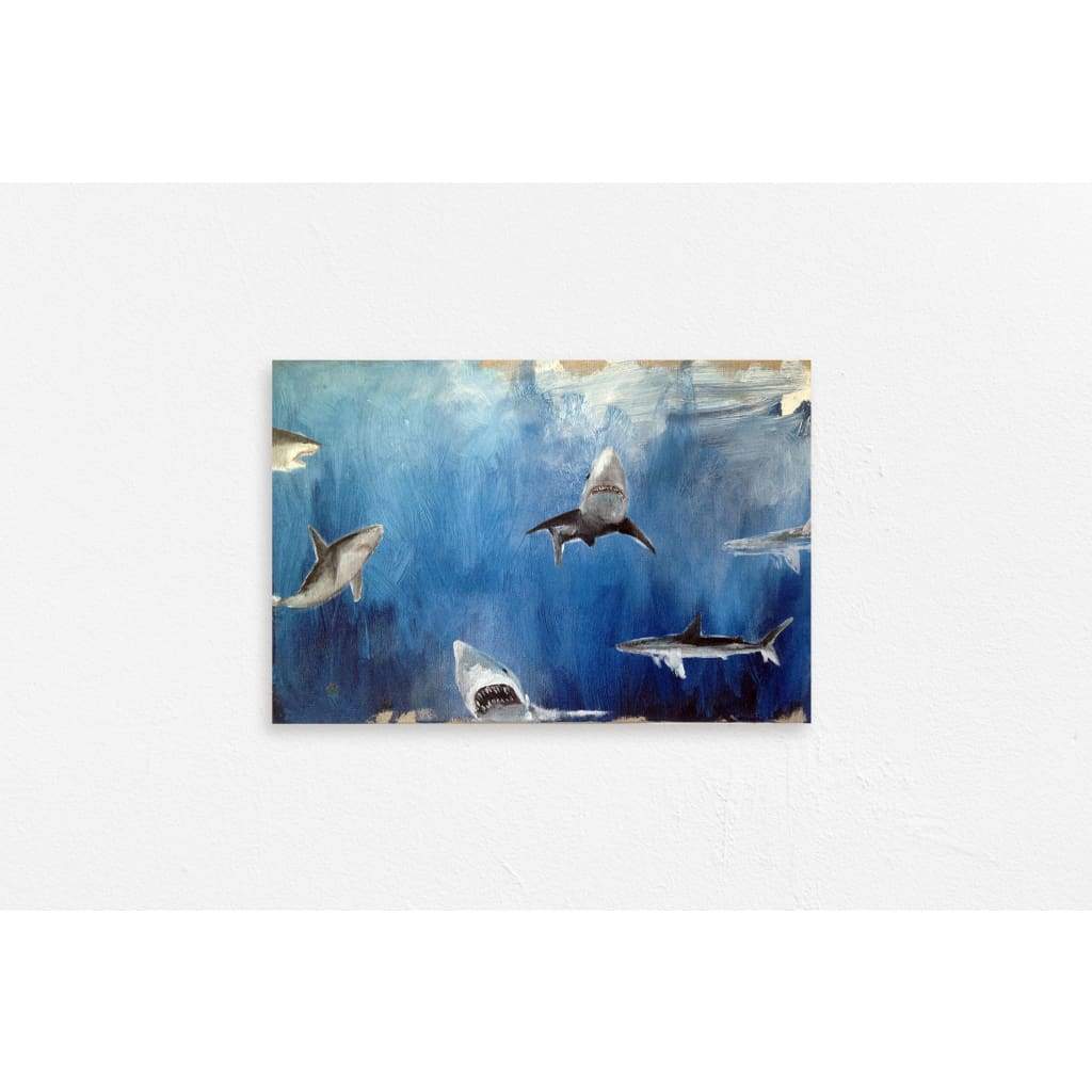 Sharks - The Curators