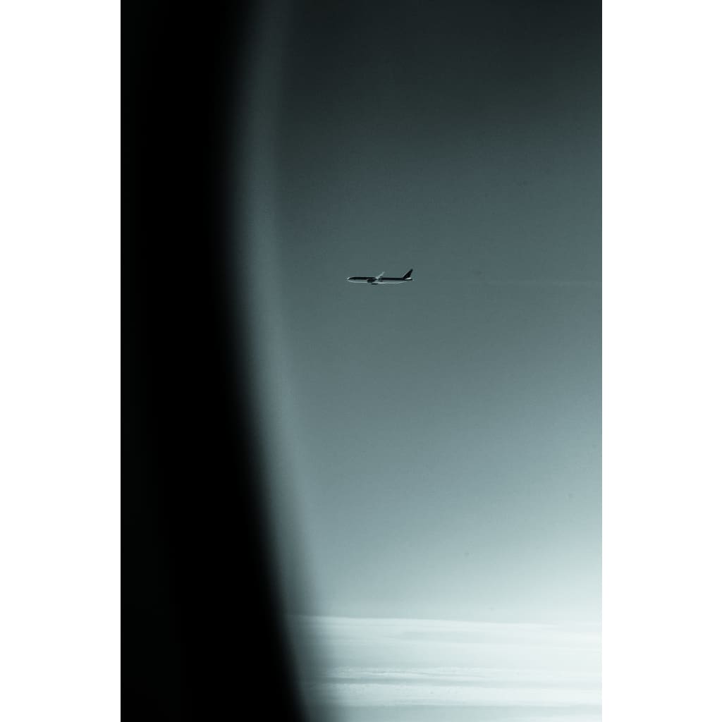 Sky high - The Curators