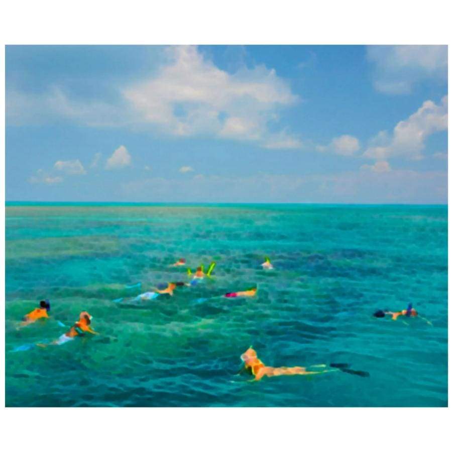 Snorkeling - The Curators