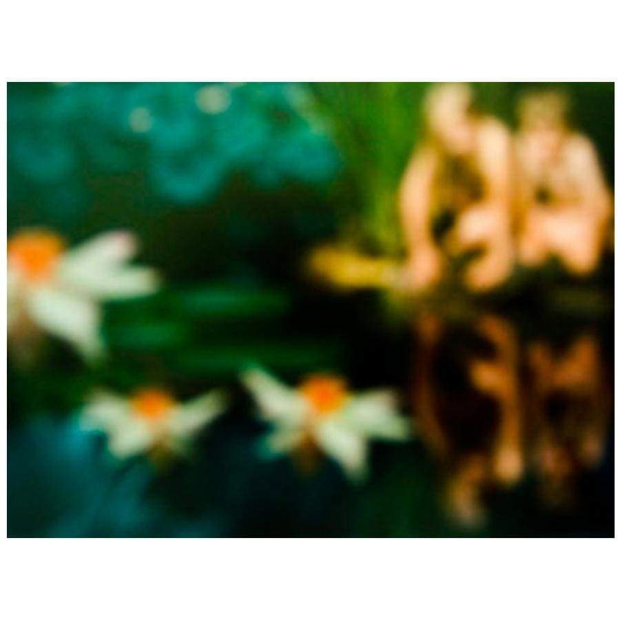 Someone is watching us - The Curators