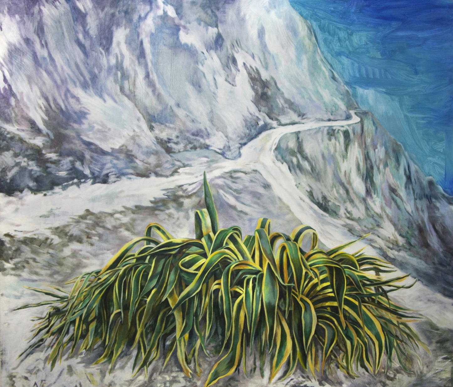 The Agave's dance - The Curators