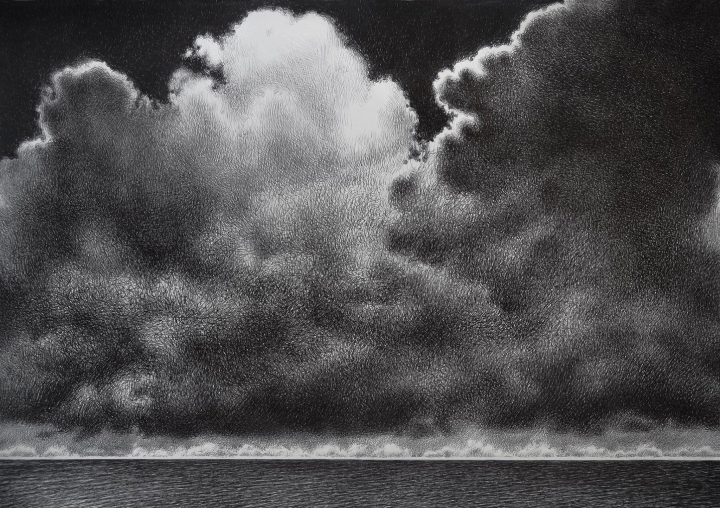 The Sailor's Forecast - The Curators