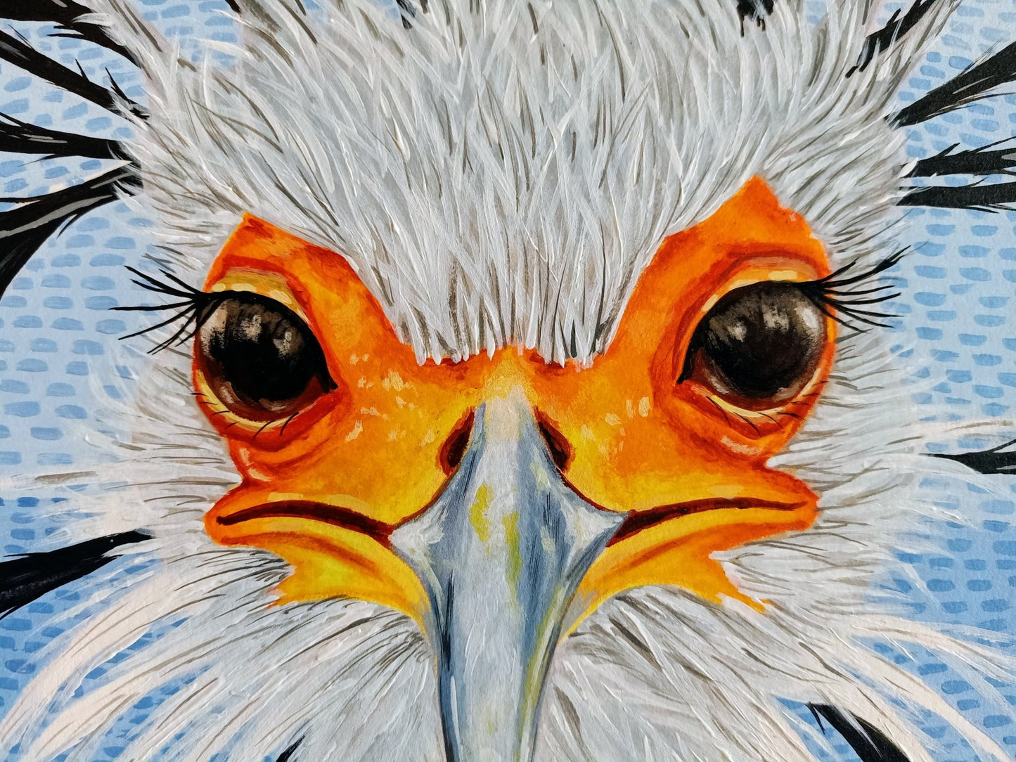 The Secretary Bird - The Curators