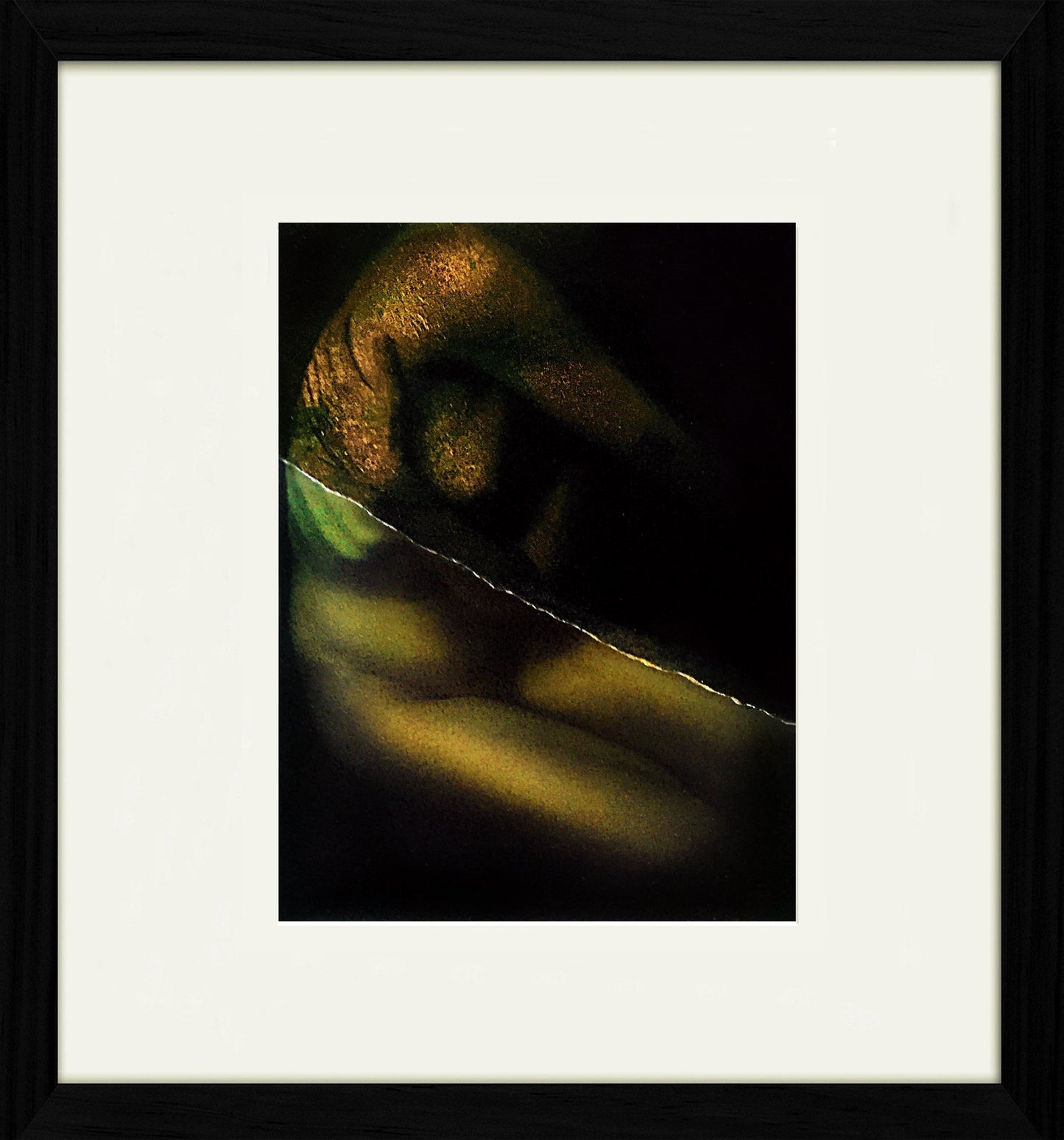 Untitled - The Curators