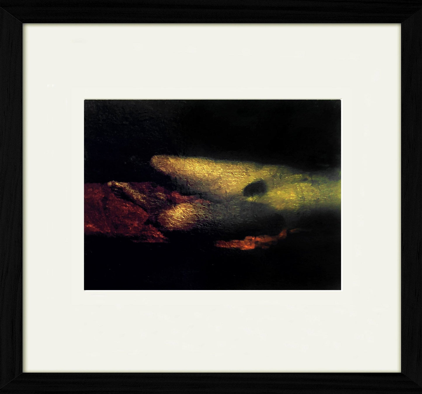 Untitled - The Curators