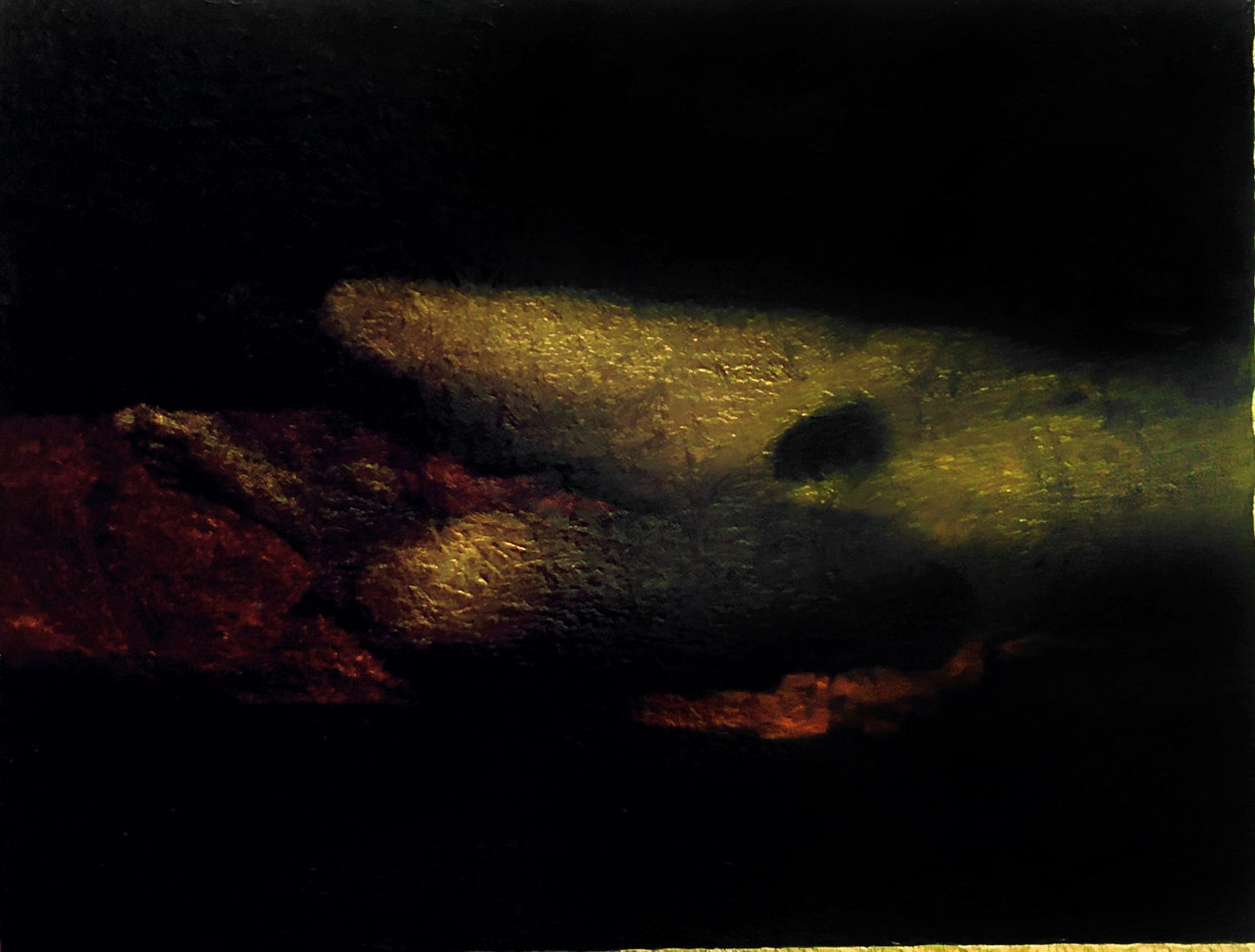 Untitled - The Curators