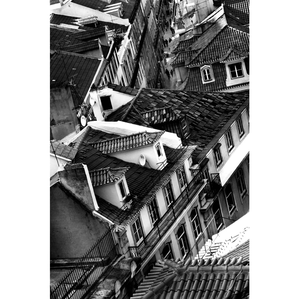 Urban landscape 12 - The Curators