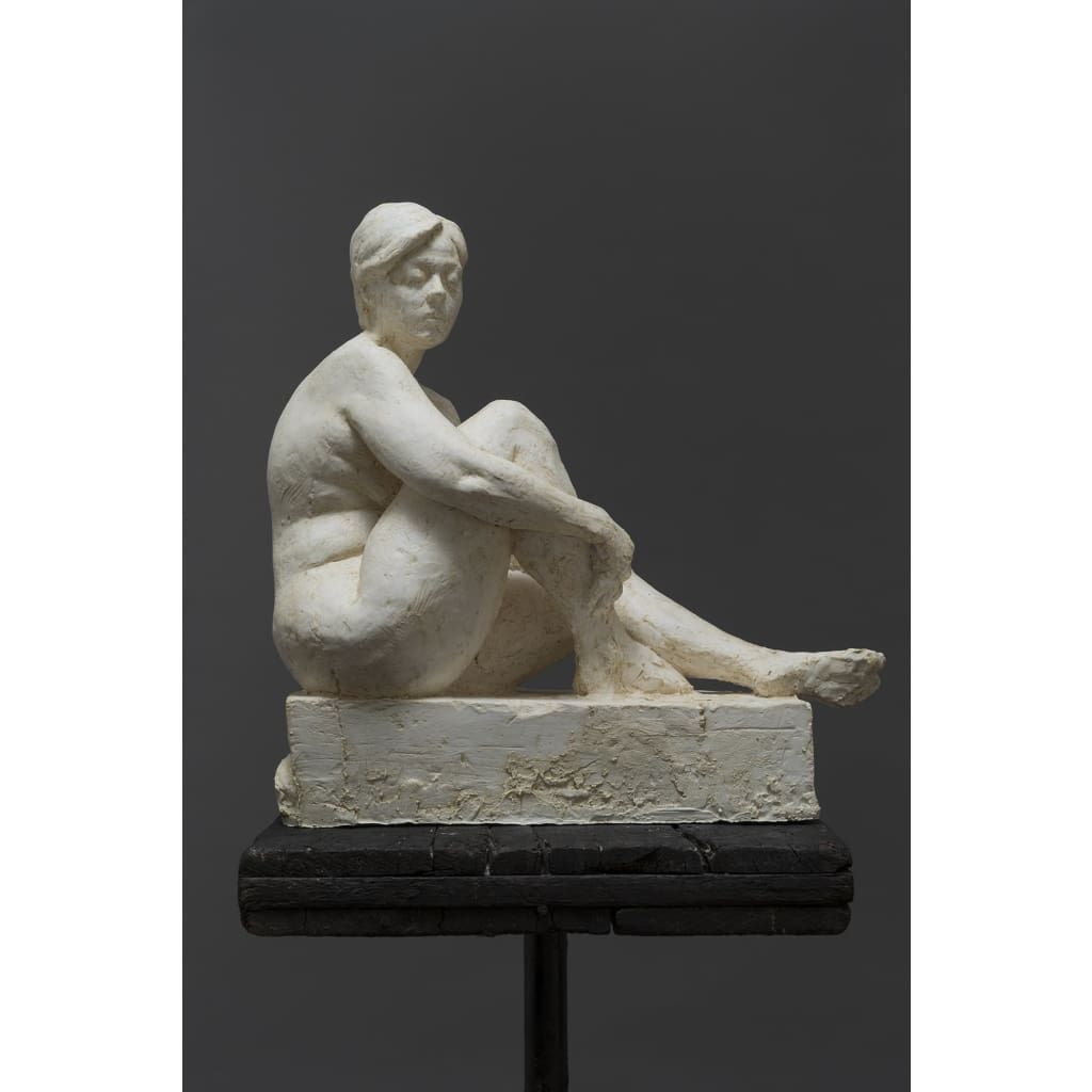 Wonderer - The Curators