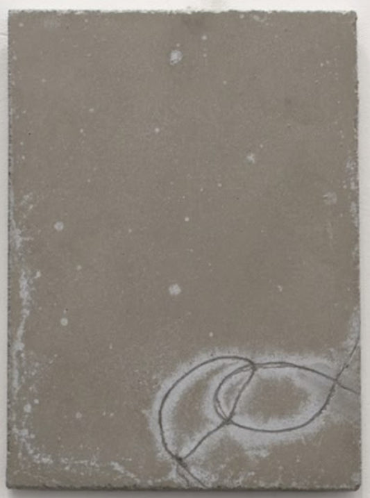 Remnant 33