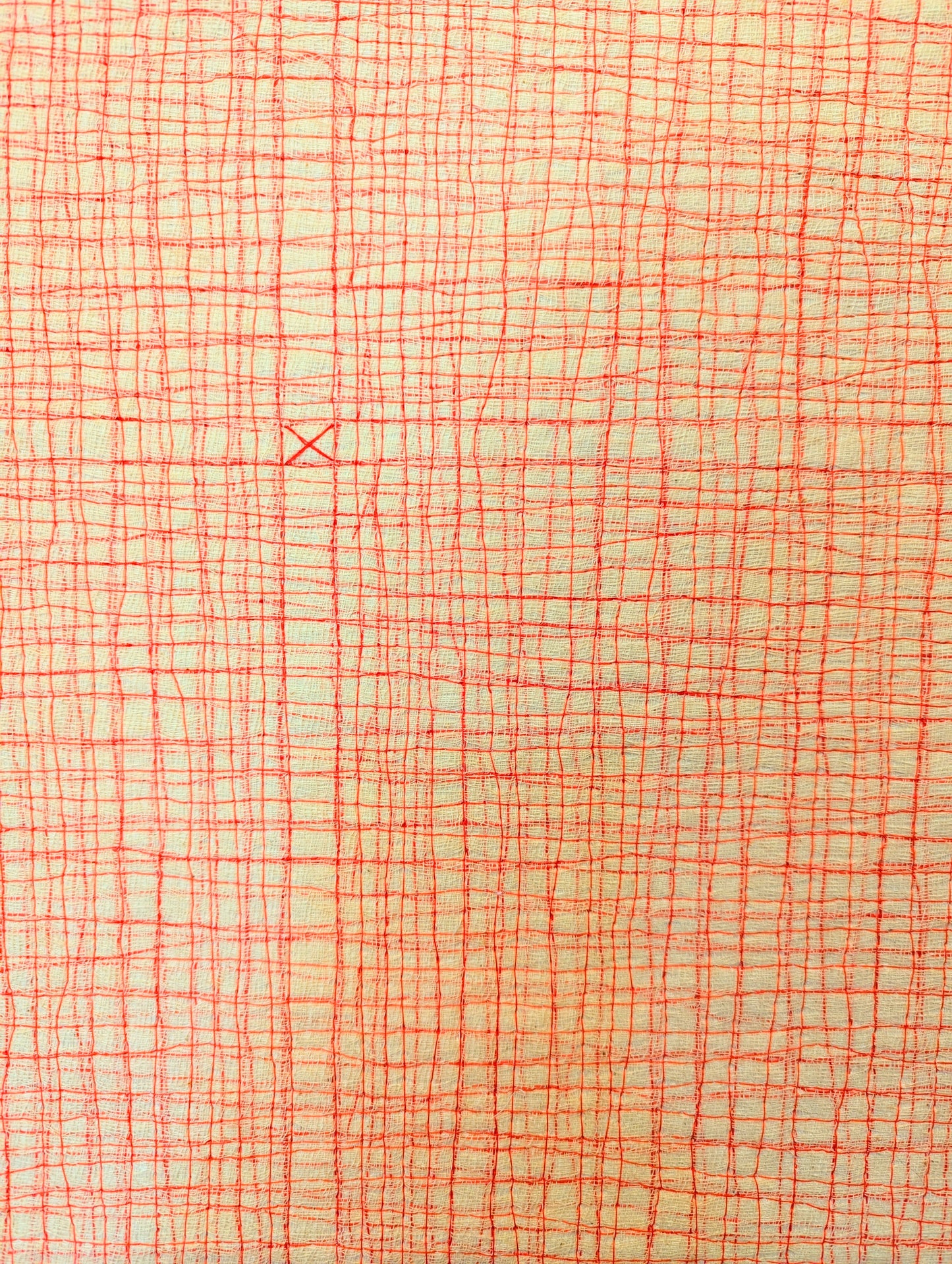 Red Stitched Line on Calico
