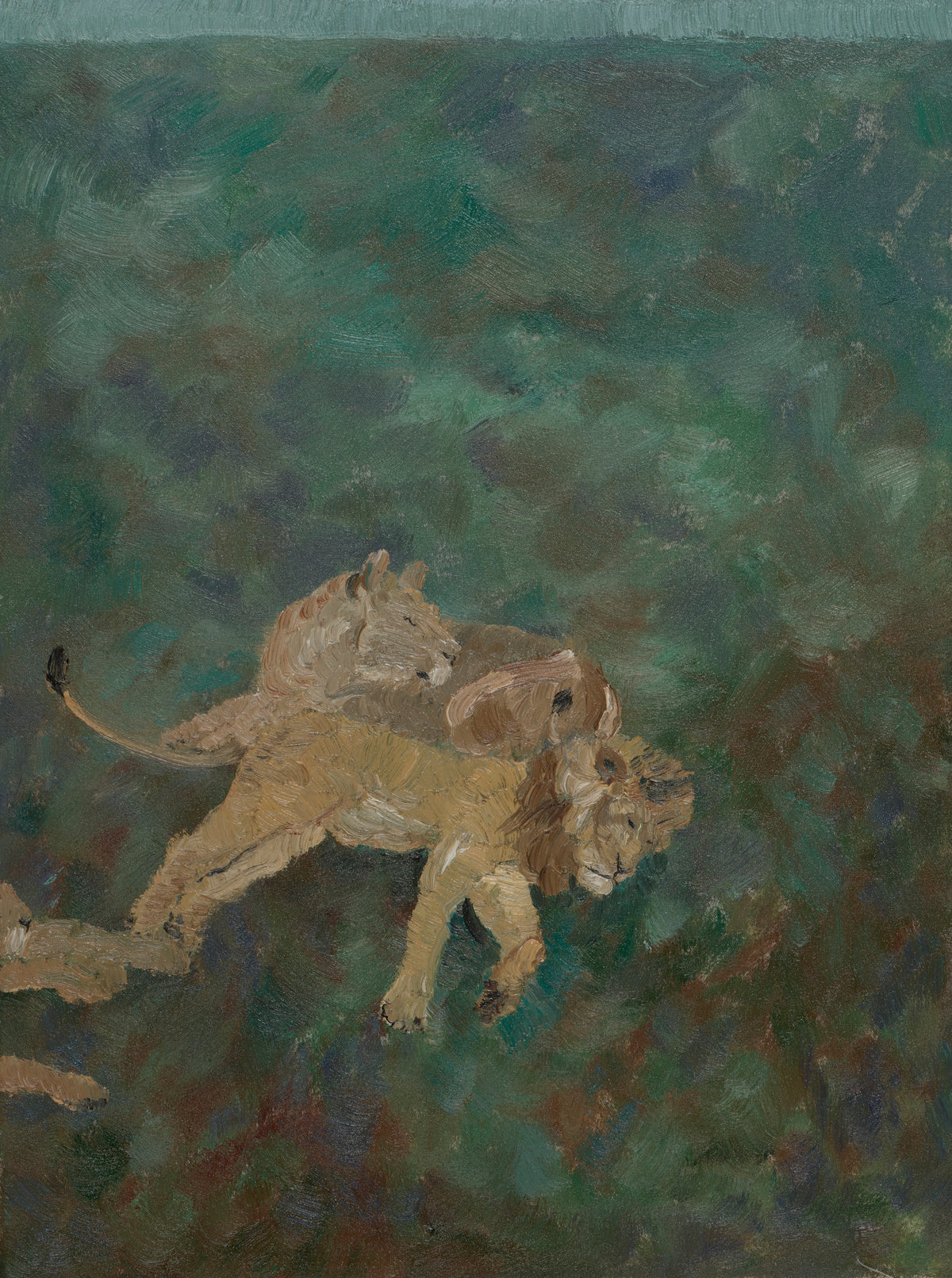 The lion couple