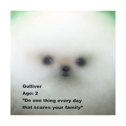 Gulliver