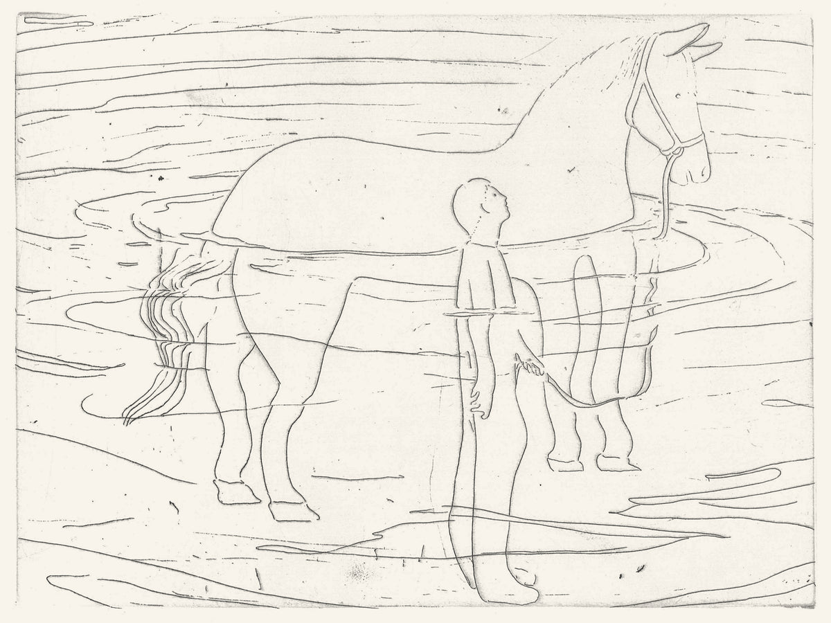 A horse in the sea / 海の馬