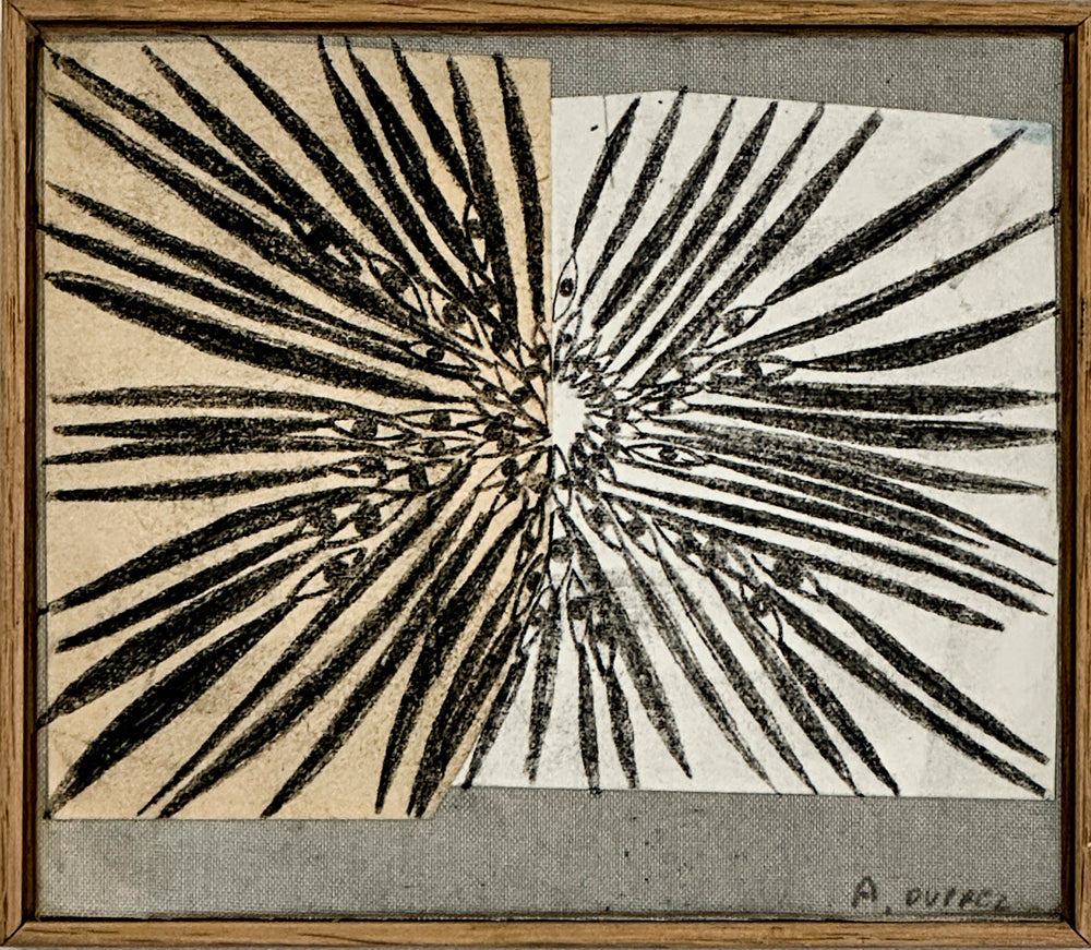 Soleil noir