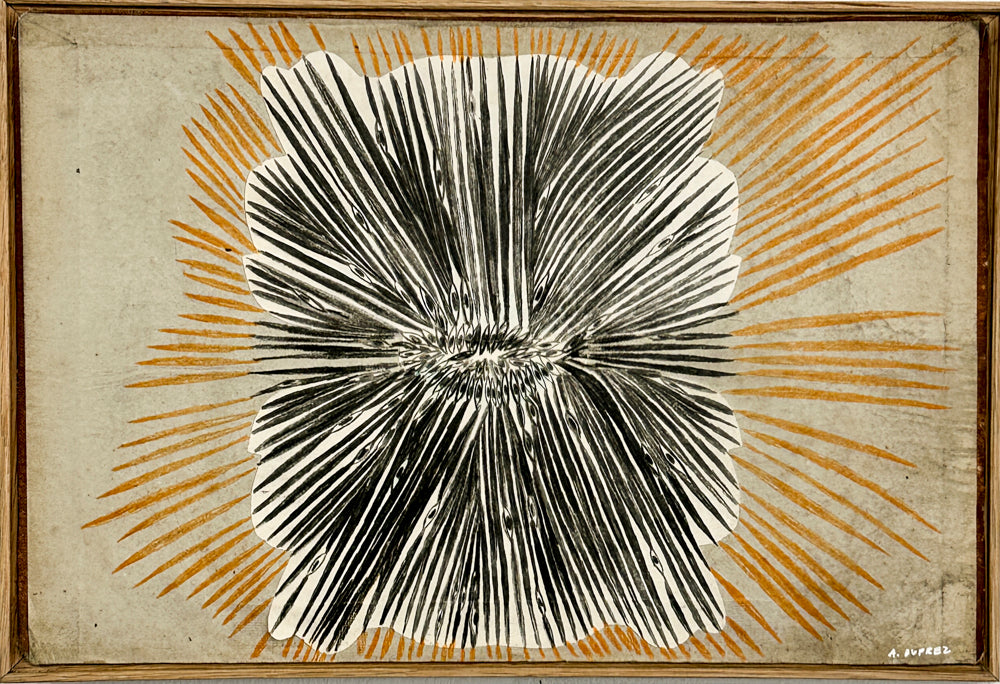 Soleil noir et beige