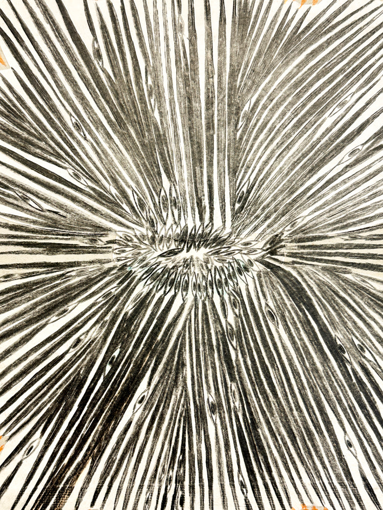 Soleil noir et beige