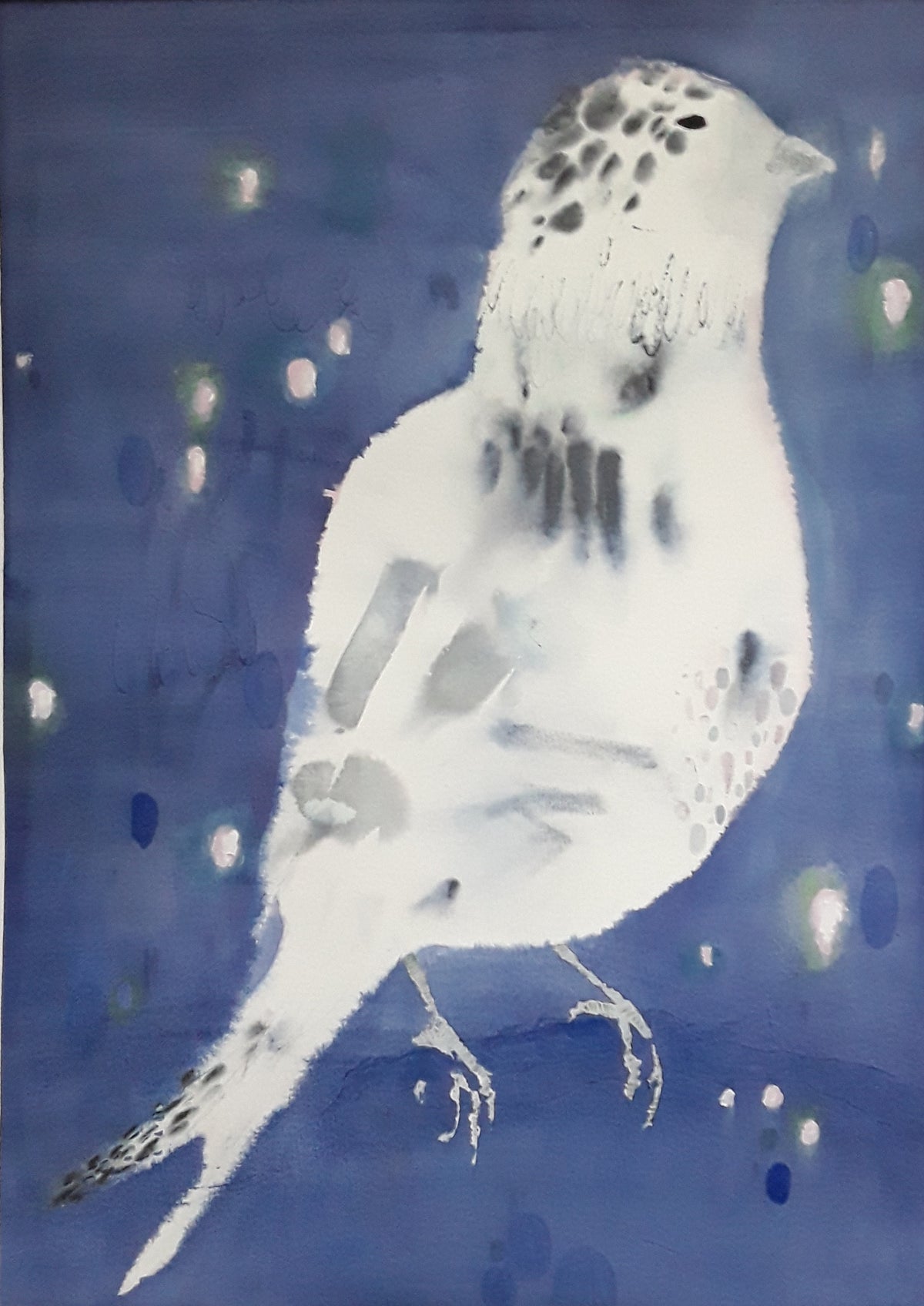 Bird in Blue