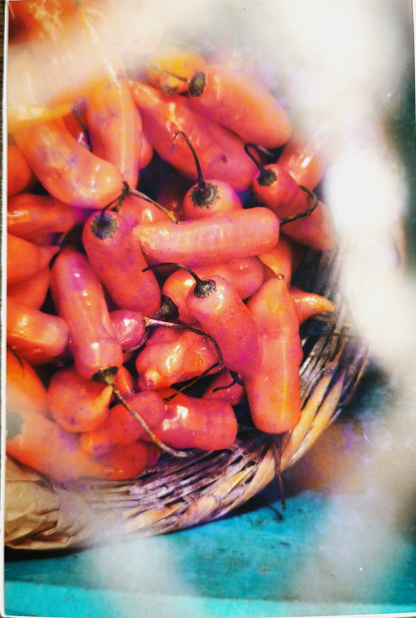 Carol Updegrave — Correspondances #1 — original postcard artwork