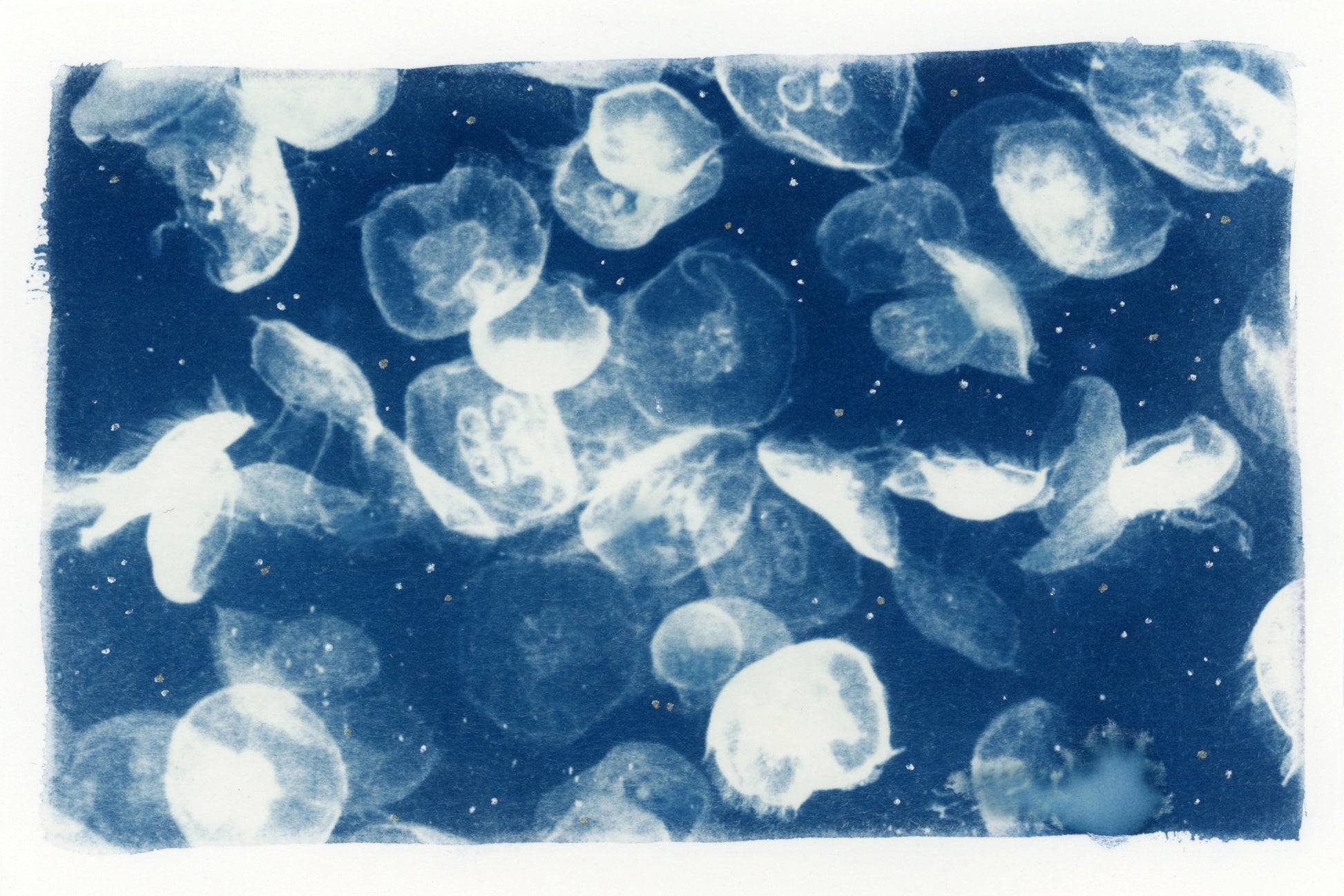 Celeste Humphrey — Correspondances #3 — original postcard artwork