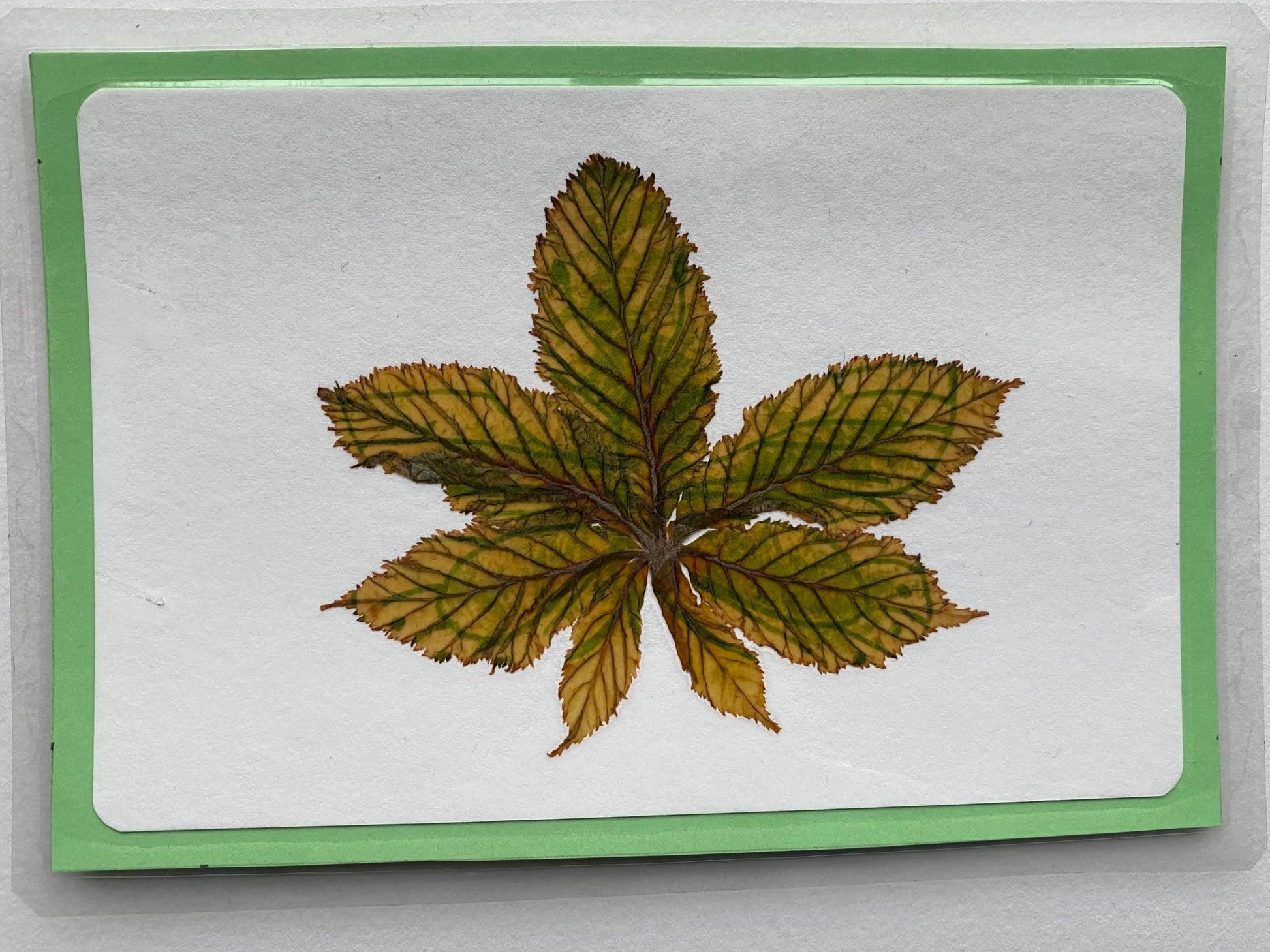 David Lowe — Correspondances #2 — original postcard artwork