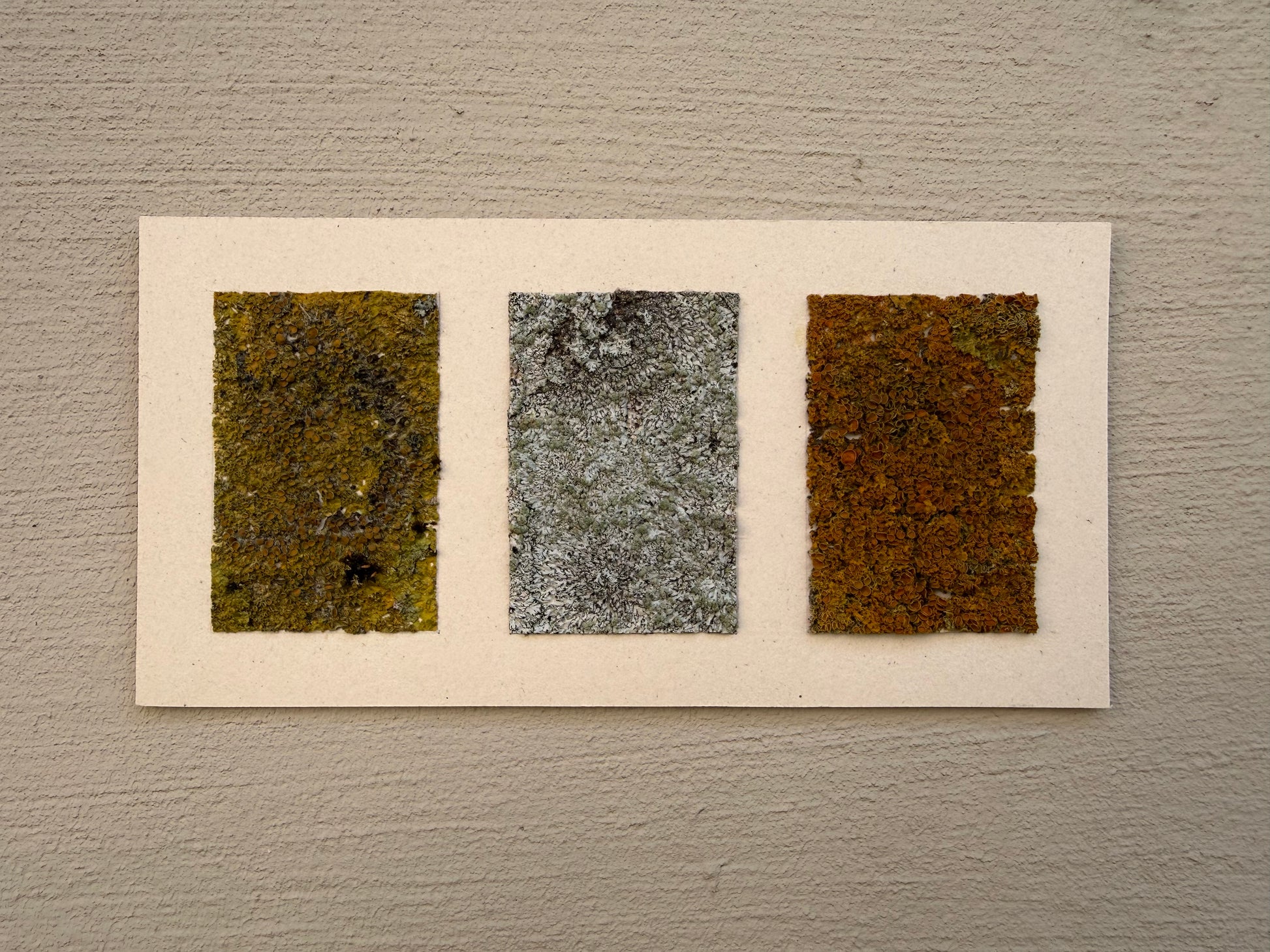 Felicia Simon — Correspondances #1 — original postcard artwork