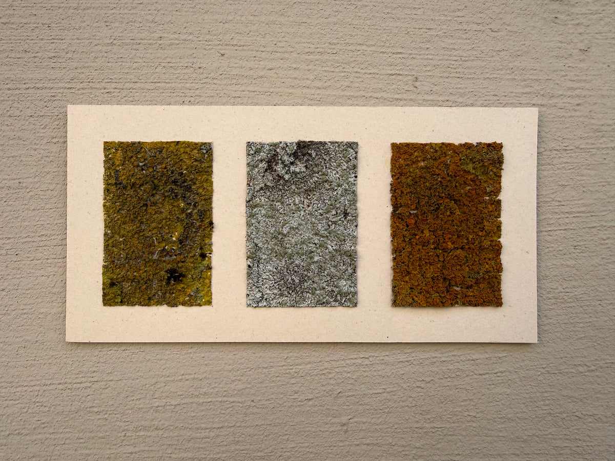 Felicia Simon — Correspondances #1 — original postcard artwork